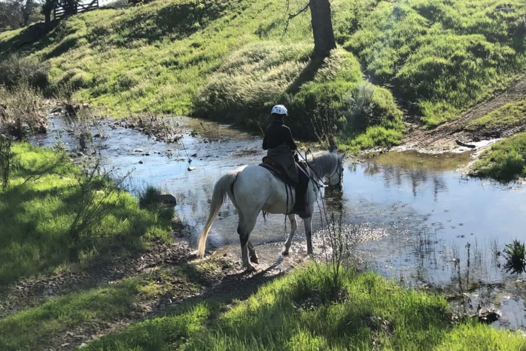 How long does it take to ride a horse 100 miles?