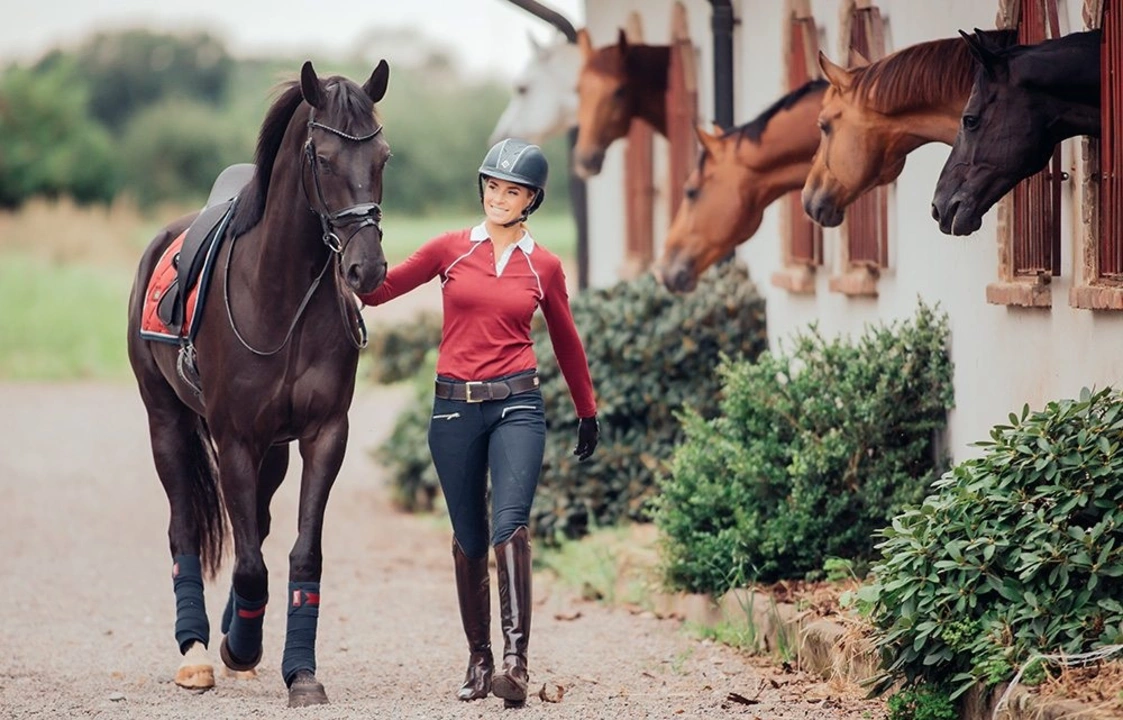 Physical requirements. Прокат лошадей. Equestrian. Equestrian coach. Игра Lucinda Green's Equestrian Challenge.